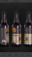 BOTTLE LOGIC HYPERMASH FOR FRED